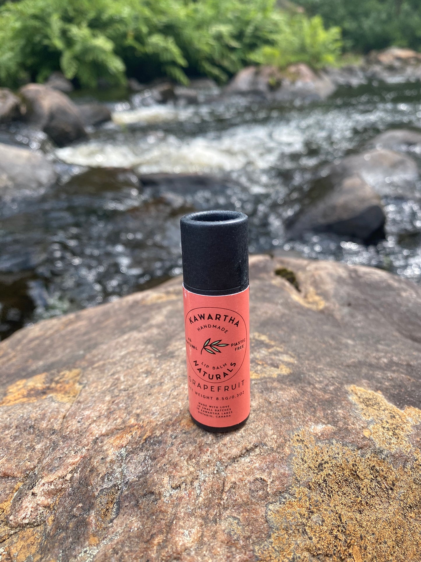 Lip Balm Bundle (3 for $30)